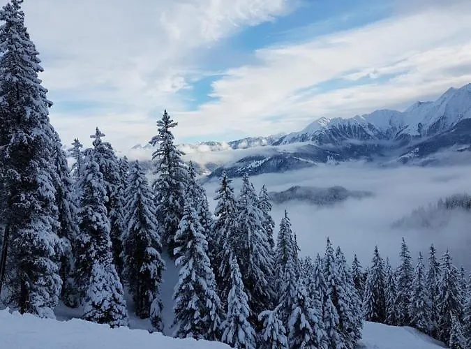 Appartement Casa Laudinella 2,5 *