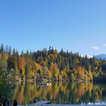 Apartamento Casa Laudinella 2,5