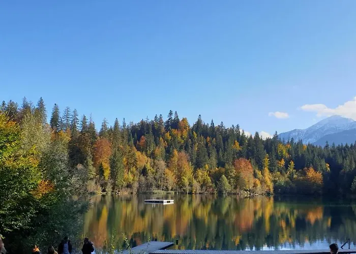 Apartment Casa Laudinella 2,5